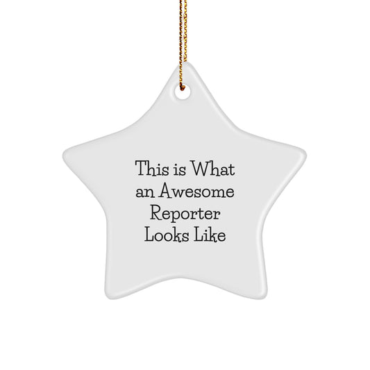 This Is What An Awesome Reporter Looks Like, Funny Reporter Star Ornament Gifts for Men, Women, Friends, Coworkers, Family at Christmas, Gifts from Men, Women, Friends, Coworkers, Family - Image 1