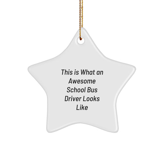 Funny School Bus Driver Gifts, Inspirational Star Ornament for Men, Women, or Friends, 'This Is What An Awesome School Bus Driver Looks Like' Quote, Perfect Christmas Unique Gifts from Family - Image 1