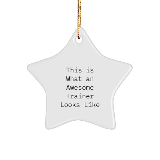 Inspirational Trainer Gifts from Friends, Christmas Unique Star Ornaments for Trainers - Image 1