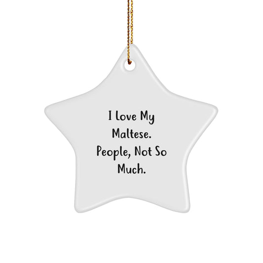 Maltese Dog Gifts from Friends, Unique Star Ornament with Funny Quote, Perfect for Christmas - Image 1