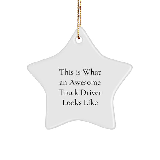 Awesome Truck Driver Star Ornament Gifts from Friends for Men, Funny Inspirational Quote Christmas Decorations - Image 1