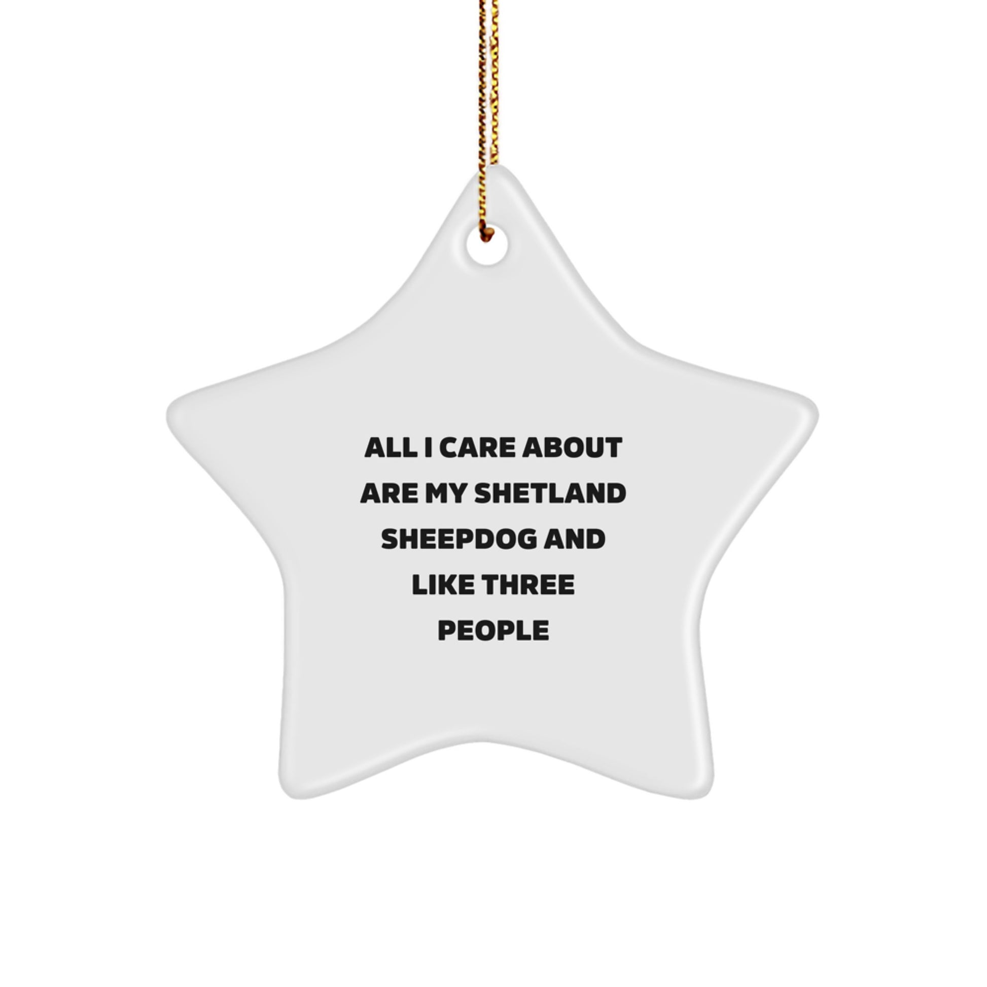 Shetland Sheepdog Lover's Star Ornament, Funny Quote Gifts from Family, Friends, or Coworkers, for Christmas Unique Gifts - Image 1