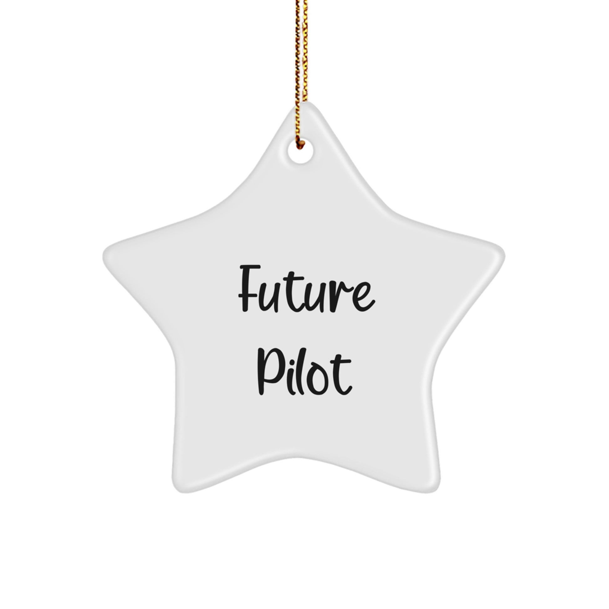 Funny Future Pilot Star Ornament, Gifts from Men to Future Pilots, Unique Christmas Unique Gifts for Men, Pilot Gifts for Men, Star Ornament for Future Pilots - Image 1