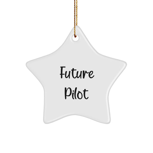 Funny Future Pilot Star Ornament, Gifts from Men to Future Pilots, Unique Christmas Unique Gifts for Men, Pilot Gifts for Men, Star Ornament for Future Pilots - Image 1