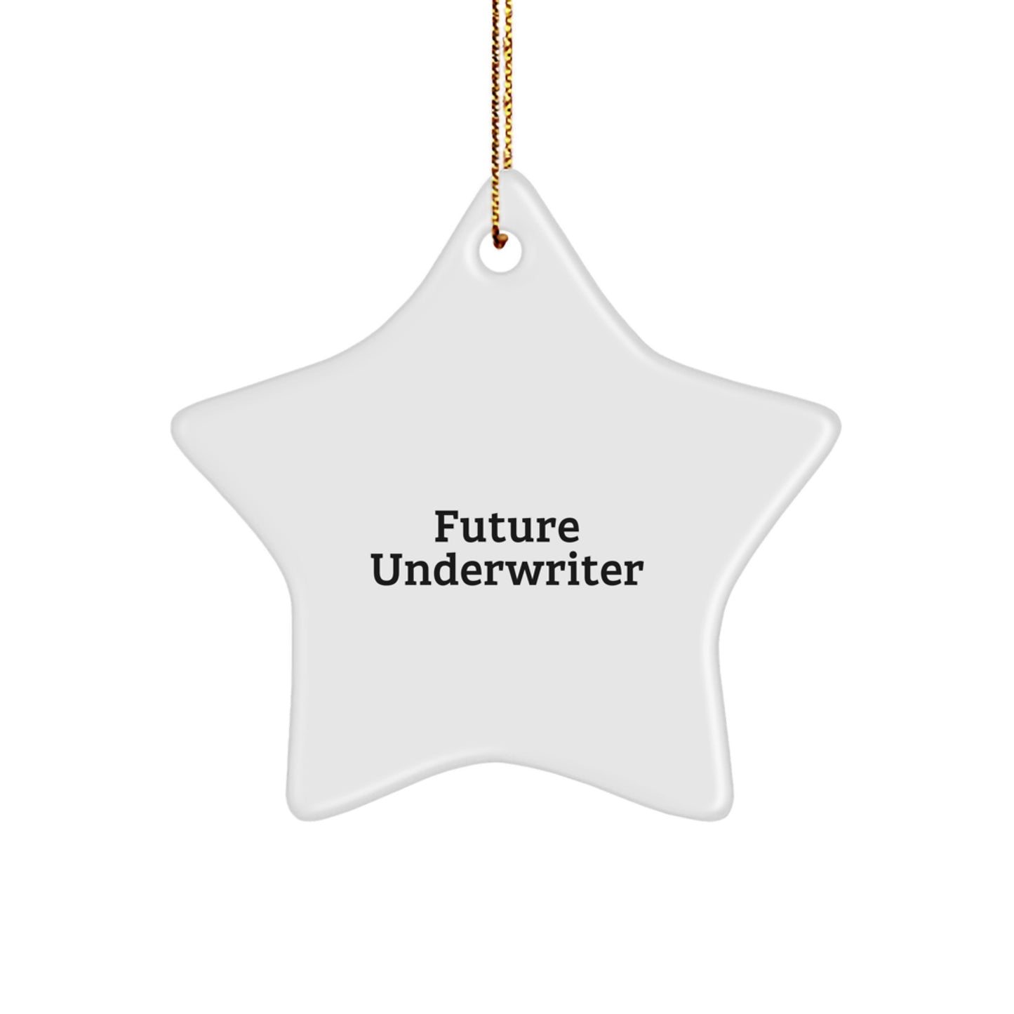 Funny Underwriter Gifts from Friends - 'Future Underwriter' Star Ornament for Christmas Unique Underwriter Gifts - Image 1