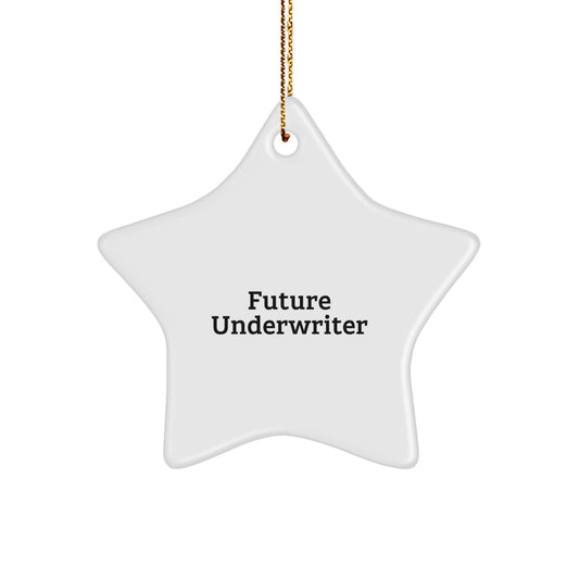 Funny Underwriter Gifts from Friends - 'Future Underwriter' Star Ornament for Christmas Unique Underwriter Gifts - Image 1