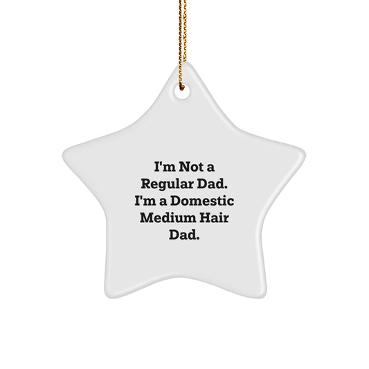 Funny Domestic Medium Hair Gifts, Star Ornament, Gifts from Men to Family, Perfect for Christmas Unique Gifts - 'I'm Not A Regular Dad. I'm A Domestic Medium Hair Dad.' - Image 1