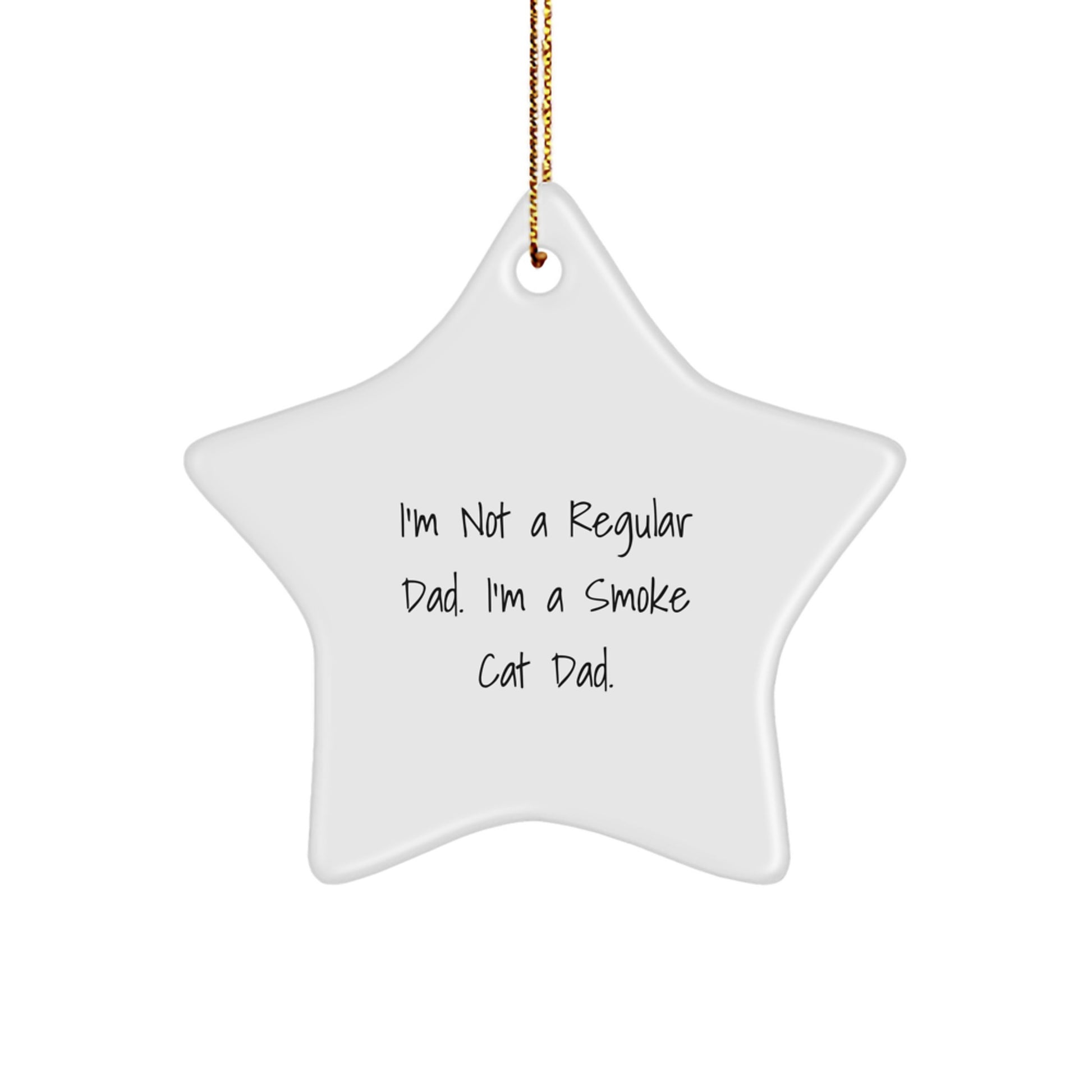 Smoke Cat Dad Gifts, Funny Star Ornament for Men, 'I'm Not A Regular Dad. I'm A Smoke Cat Dad.' Quote, White Star Shaped, Christmas Unique Gifts from Men to Family - Image 1