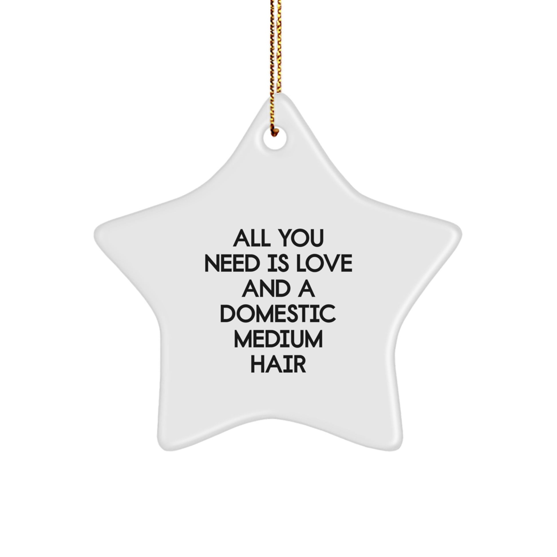 Domestic Medium Hair Cat Gifts - All You Need Is Love And A Star Ornament, Perfect for Christmas - Gifts from Family to Friends - Image 1