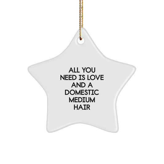 Domestic Medium Hair Cat Gifts - All You Need Is Love And A Star Ornament, Perfect for Christmas - Gifts from Family to Friends - Image 1